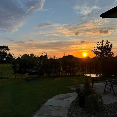 Owl Peaceful Countryside 8 Miles From York