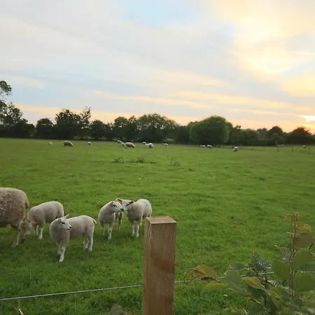 Owl Peaceful Countryside 8 Miles From York 度假居