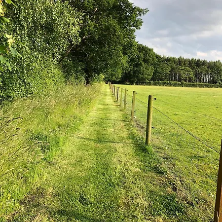 Ferienhaus Owl Peaceful Countryside 8 Miles From York *